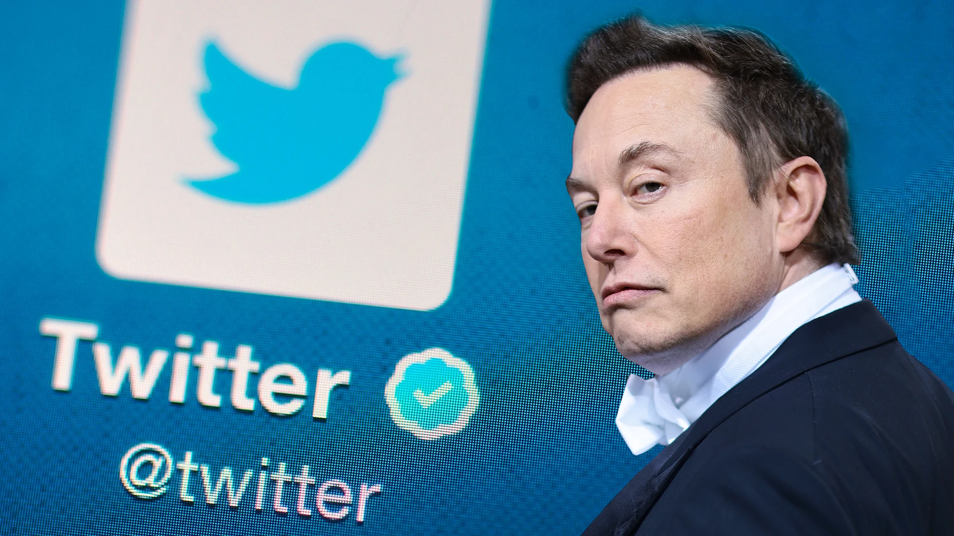 Cuáles son los cambios en Twitter con Elon Musk