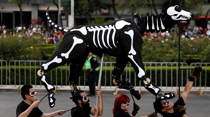 Una funeraria en México sugiere que el 3 de noviembre se convierta en el Día de Muertos para Mascotas.