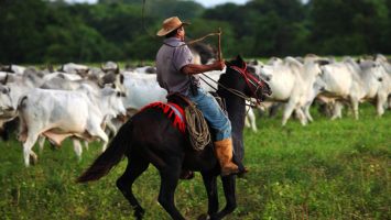 La XIV Reunión de la Comisión de Desarrollo Ganadero para América Latina y el Caribe busca desarrollar una ganadería con sostenibilidad ambiental, social y económica.