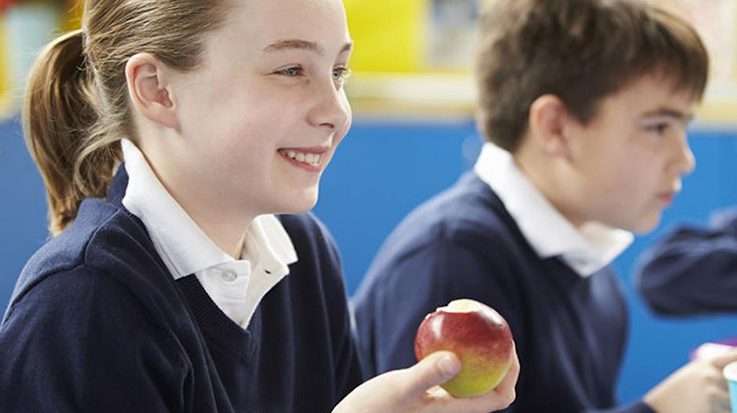 El programa de la UE que fomenta la buena alimentación entre los jóvenes se reanudará para el curso 2018-2019.