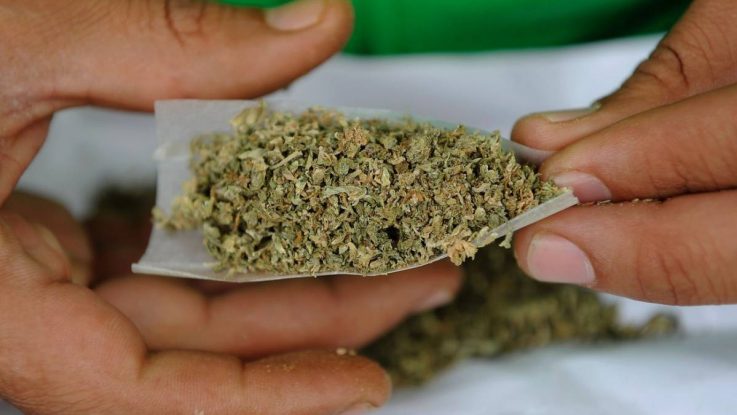 La venta ilegal de marihuana triplica al mercado legal en California