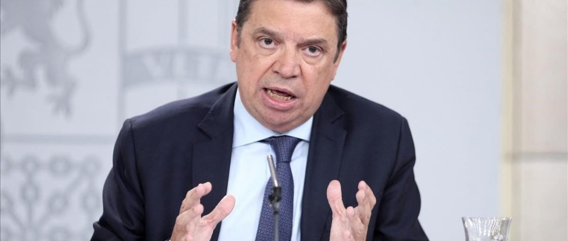 luis planas smi