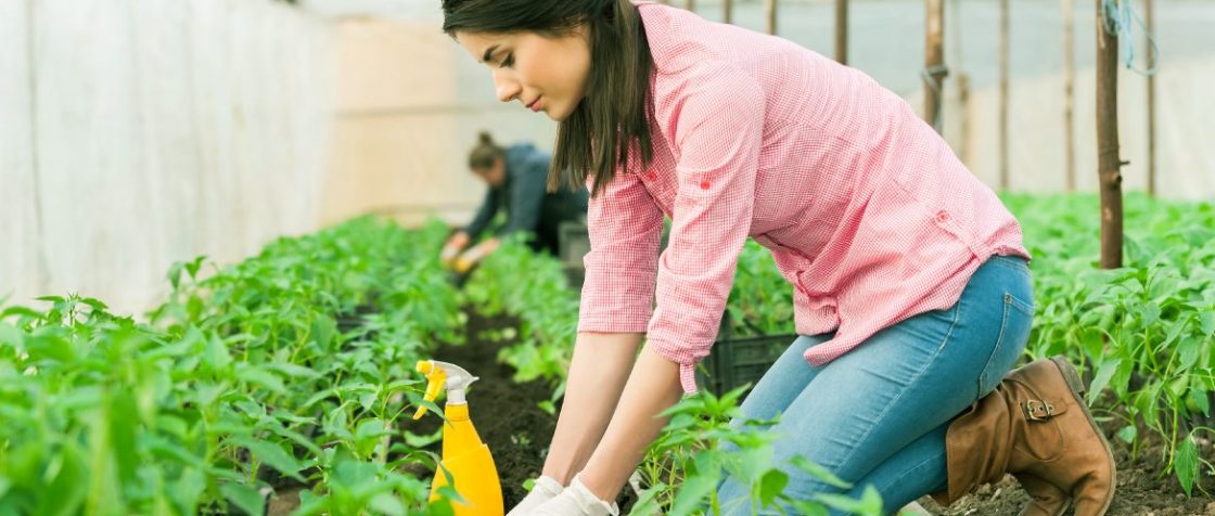 Innovación para Mujeres Rurales