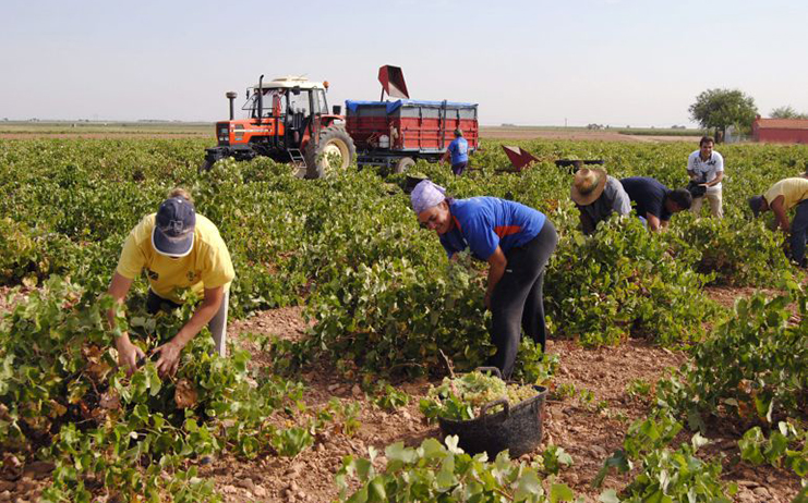 estancias en explotaciones agrarias