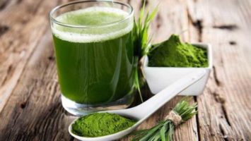 Espirulina superalimento para la primavera